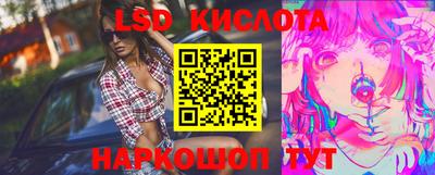 крисы Лесосибирск