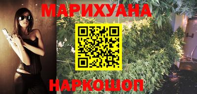 крисы Лесосибирск