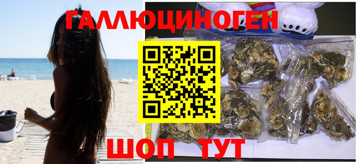 Галлюциногенные грибы Magic Shrooms  что такое наркотик  Железноводск  Псилоцибиновые грибы Psilocybine cubensis  Вход с VPN 