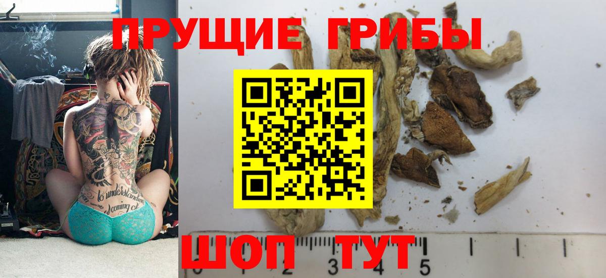 Галлюциногенные грибы Magic Shrooms Железноводск