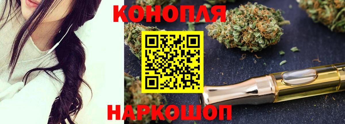 Шишки марихуана планчик Железноводск
